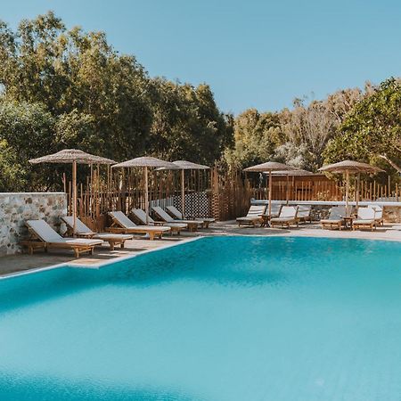 Coralli Seaside Resort Livadakia 외부 사진